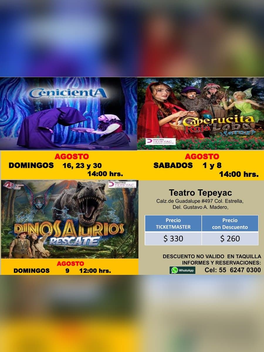 Cenicienta — cartel